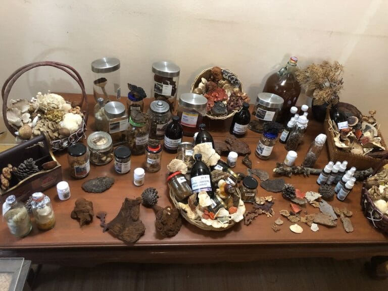 Advance medicinal mushrooms seminar