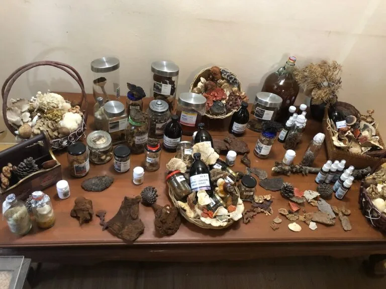 Advance medicinal mushrooms seminar